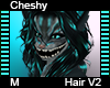 Cheshy Hair M V2