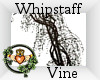 ~QI~ Whipstaff Vine