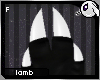 ~Dc) Lamb Paws