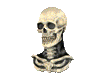 Halloweeen Skeleton