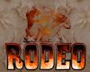 'Rodeo Steer Wrestling