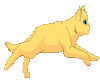 Running Gold Cat
