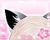 ❤Mei Ears Bl❤
