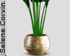 Vase Plant 07