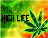 weed  high life
