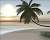 ! Modern Sunset Island