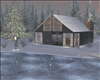 Winter Forest  Home