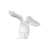 Èºâ¢ Bunny Ears Spring