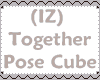 (IZ) Together Pose Cube