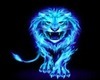 blue lion pet