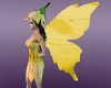 *Yellow Fairy Wings