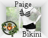 ~QI~ Paige Bikini BS