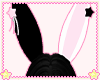 ♡ bunni ears