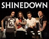 Shinedown cm1-13