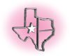 *K* Texas Outline 3D