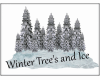 Winter Tree's And Ice