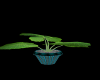 Large Teal Pot Plant