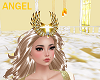 ANGEL Crown