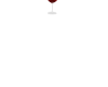ASM Red Wine Glass