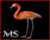 *Ms*Flamingo Animal