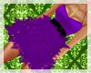 {KE} Raina Purple