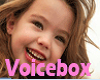 child voice box