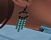 Western Earrings