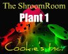 ShroomRoom Plant 1
