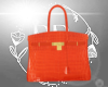 (BR) Orange Purse CT