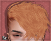 Sz l Beck Ginger