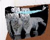 tiger couple bath
