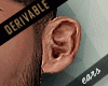 X-RAY smooth Ears