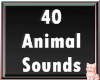 VOICES Animal Sounds