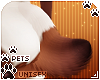 [Pets] Ginga | tail v7
