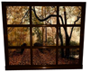 Autumn Window Two