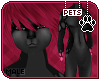 [Pets] Ziro | abless fur