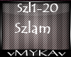 SZPAKU-SZLAM