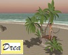 Beach Dance Platform
