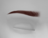 Eyebrows natural |ginger
