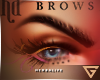 SSNT -Brows-
