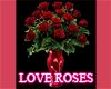 (IKY2) LOVE AND ROSES