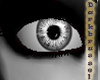 [D] Crystal Eyes: Grey