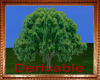 Derivable Tree