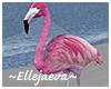 Beach Pink Flamingo