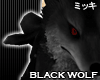 ! Black Arctic Wolf