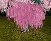 Sakura Blossom Tree