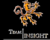 Team Insight Rep, 