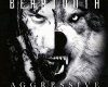 Beartooth - Body bag