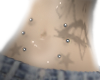 !★ 6Belly piercings