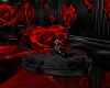 black red roses